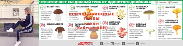 бошки Лиски