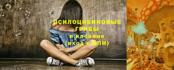 бошки Магас