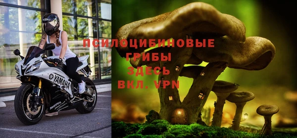мет Липки