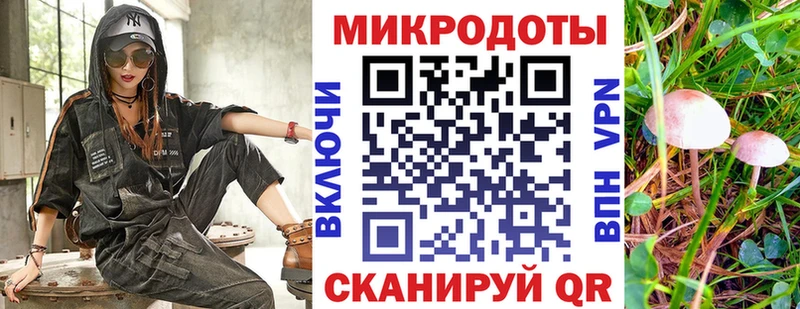 Галлюциногенные грибы ЛСД  omg маркетплейс  Шали 