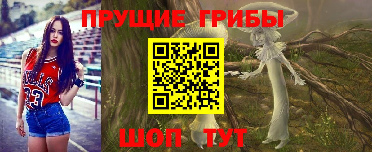 Галлюциногенные грибы прущие грибы  Псилоцибиновые грибы Magic Shrooms  Шали 