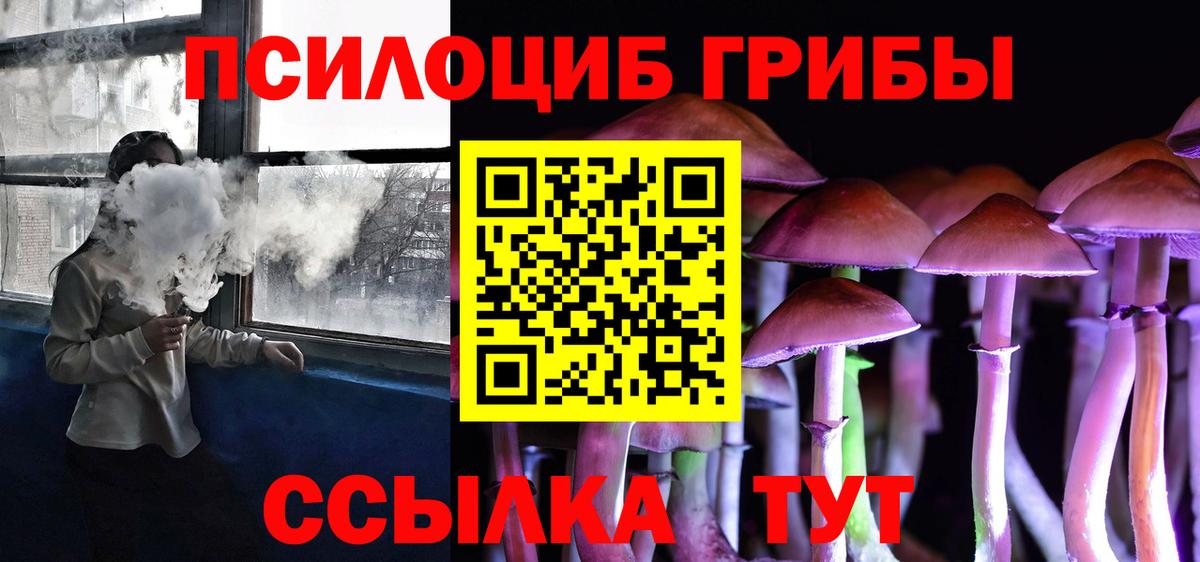Шали  закладка  Псилоцибиновые грибы MAGIC MUSHROOMS  Вход с VPN  Псилоцибиновые грибы мицелий 